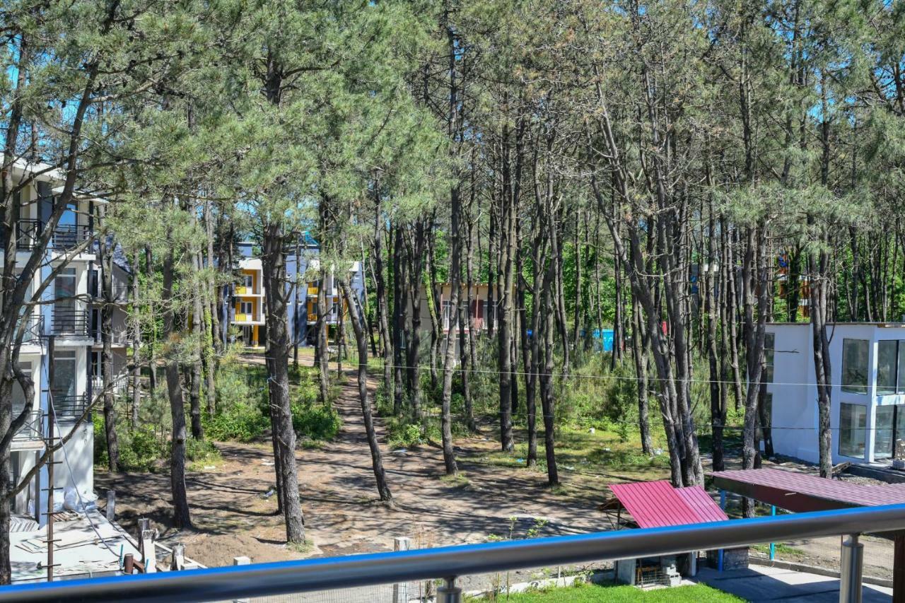 Hotel Molecule Шекветілі Екстер'єр фото